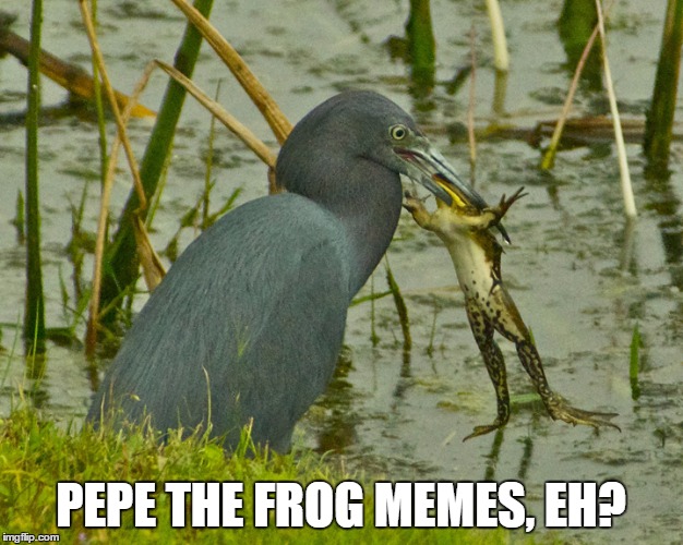 PEPE THE FROG MEMES, EH? | image tagged in heron eating pepe,pepe the frog | made w/ Imgflip meme maker