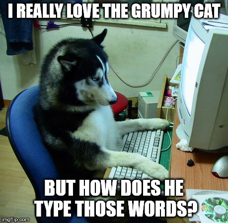 Maybe his human helps? | I REALLY LOVE THE GRUMPY CAT; BUT HOW DOES HE TYPE THOSE WORDS? | image tagged in memes,i have no idea what i am doing | made w/ Imgflip meme maker