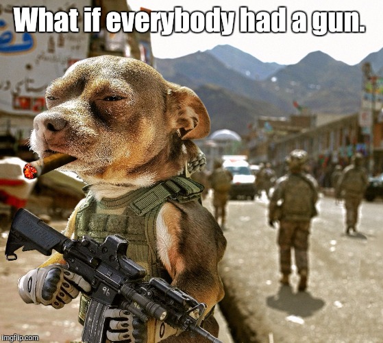 Army Dog | What if everybody had a gun. | image tagged in army dog | made w/ Imgflip meme maker