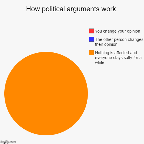How political arguments work | Nothing is affected and everyone stays salty for a while, The other person changes their opinion, You change  | image tagged in funny,pie charts,memes,politics,argument,welcome to the salty spitoon | made w/ Imgflip chart maker