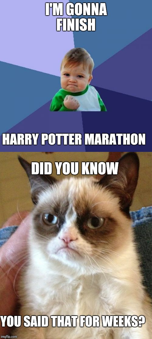 I'M GONNA FINISH; HARRY POTTER MARATHON; DID YOU KNOW; YOU SAID THAT FOR WEEKS? | image tagged in memes | made w/ Imgflip meme maker