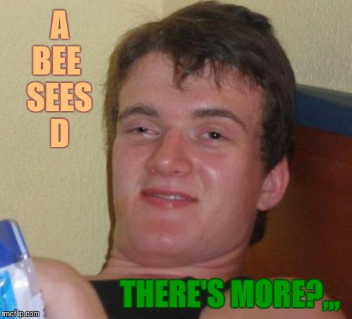10 Guy Meme | A  BEE   SEES   D THERE'S MORE?,,, | image tagged in memes,10 guy | made w/ Imgflip meme maker