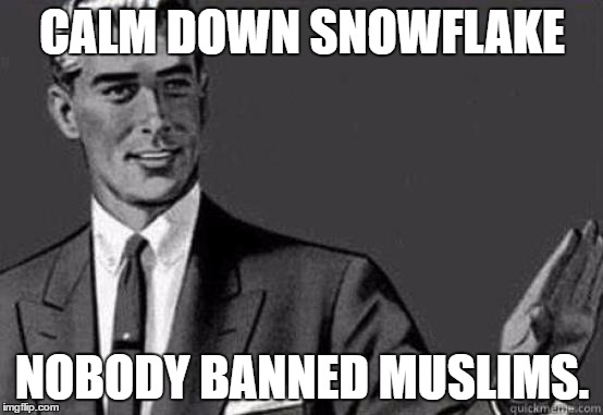 Calm down | CALM DOWN SNOWFLAKE; NOBODY BANNED MUSLIMS. | image tagged in calm down | made w/ Imgflip meme maker