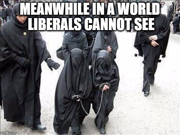 MEANWHILE IN A WORLD LIBERALS CANNOT SEE | made w/ Imgflip meme maker