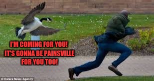 I'M COMING FOR YOU! IT'S GONNA BE PAINSVILLE FOR YOU TOO! | made w/ Imgflip meme maker