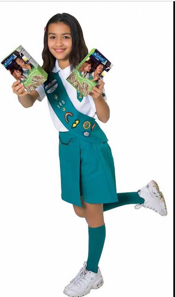 High Quality Girl Scout  Blank Meme Template