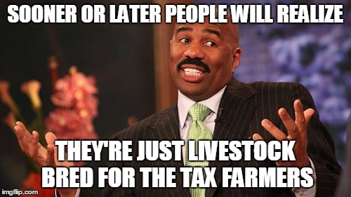 Steve Harvey Meme | SOONER OR LATER PEOPLE WILL REALIZE THEY'RE JUST LIVESTOCK BRED FOR THE TAX FARMERS | image tagged in memes,steve harvey | made w/ Imgflip meme maker