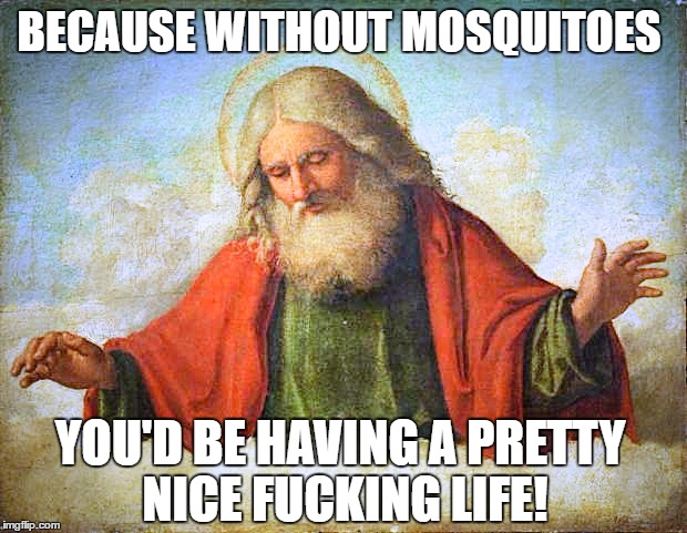 BECAUSE WITHOUT MOSQUITOES; YOU'D BE HAVING A PRETTY NICE FUCKING LIFE! | made w/ Imgflip meme maker