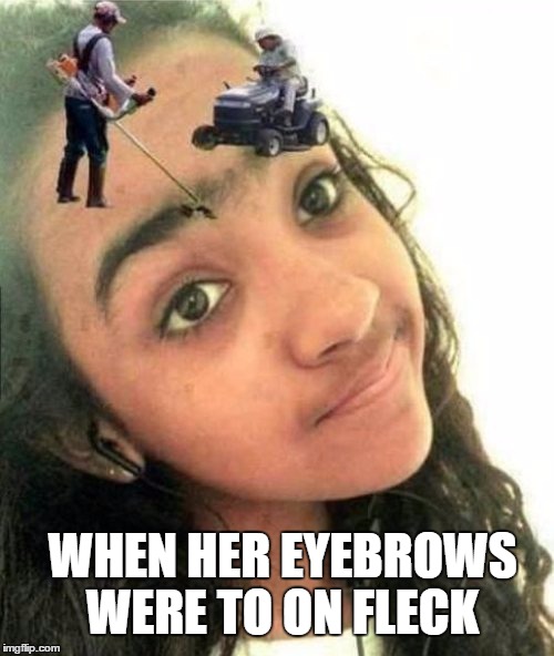 Too on fleck | WHEN HER EYEBROWS WERE TO ON FLECK | image tagged in funny photoshop | made w/ Imgflip meme maker