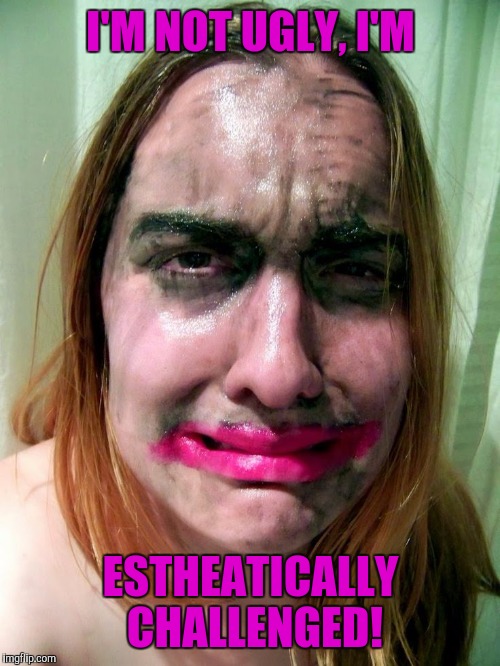 I'M NOT UGLY, I'M ESTHEATICALLY CHALLENGED! | made w/ Imgflip meme maker