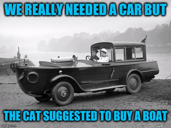 Strange compromise | WE REALLY NEEDED A CAR BUT; THE CAT SUGGESTED TO BUY A BOAT | image tagged in strange cars,car boat,i should buy a boat cat | made w/ Imgflip meme maker