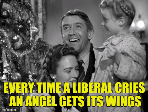 Sound of Music | EVERY TIME A LIBERAL CRIES AN ANGEL GETS ITS WINGS | image tagged in sound of music | made w/ Imgflip meme maker