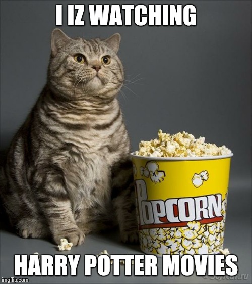 Cat eating popcorn | I IZ WATCHING; HARRY POTTER MOVIES | image tagged in cat eating popcorn | made w/ Imgflip meme maker