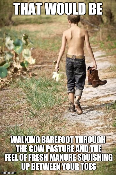THAT WOULD BE WALKING BAREFOOT THROUGH THE COW PASTURE AND THE FEEL OF FRESH MANURE SQUISHING UP BETWEEN YOUR TOES | made w/ Imgflip meme maker