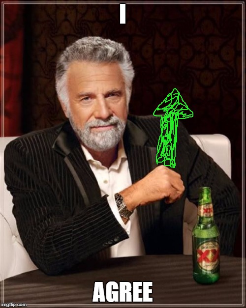 The Most Interesting Man In The World Meme | I AGREE | image tagged in memes,the most interesting man in the world | made w/ Imgflip meme maker