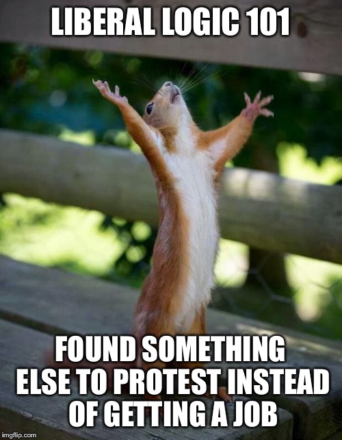 Happy Squirrel | LIBERAL LOGIC 101; FOUND SOMETHING ELSE TO PROTEST INSTEAD OF GETTING A JOB | image tagged in happy squirrel | made w/ Imgflip meme maker