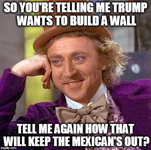 Creepy Condescending Wonka | SO YOU'RE TELLING ME TRUMP WANTS TO BUILD A WALL; TELL ME AGAIN HOW THAT WILL KEEP THE MEXICAN'S OUT? | image tagged in memes,creepy condescending wonka | made w/ Imgflip meme maker