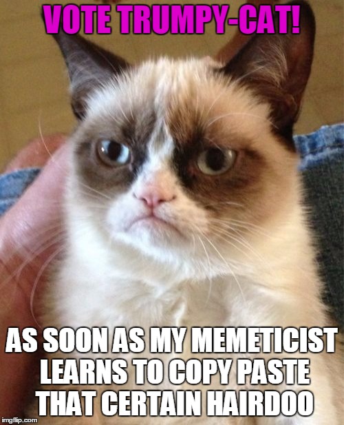 Grumpy Cat Meme | VOTE TRUMPY-CAT! AS SOON AS MY MEMETICIST LEARNS TO COPY PASTE THAT CERTAIN HAIRDOO | image tagged in memes,grumpy cat | made w/ Imgflip meme maker