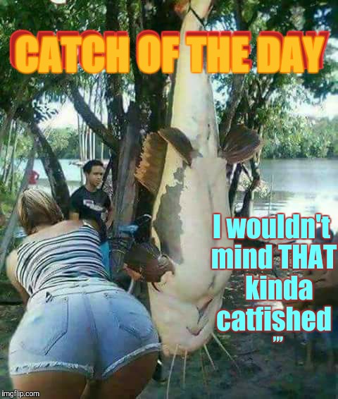 Serve me up some o' dhat,,, | CATCH OF THE DAY; CATCH OF THE DAY; I wouldn't mind THAT   kinda catfished; ,,, | image tagged in bounty,booty,boom boom,bam bam,boomin | made w/ Imgflip meme maker