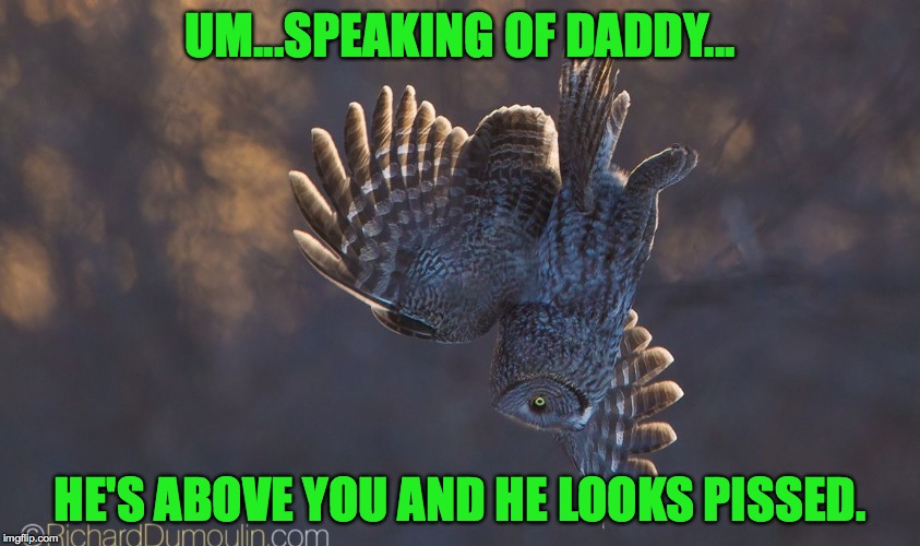 UM...SPEAKING OF DADDY... HE'S ABOVE YOU AND HE LOOKS PISSED. | made w/ Imgflip meme maker