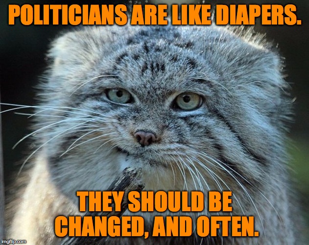 Truth To Power | POLITICIANS ARE LIKE DIAPERS. THEY SHOULD BE CHANGED, AND OFTEN. | image tagged in from the fact cat | made w/ Imgflip meme maker