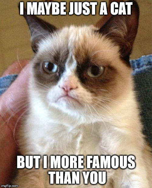 A Famous Cat | I MAYBE JUST A CAT; BUT I MORE FAMOUS THAN YOU | image tagged in memes,grumpy cat | made w/ Imgflip meme maker