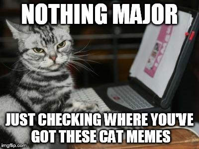 Cat computer | NOTHING MAJOR; JUST CHECKING WHERE YOU'VE GOT THESE CAT MEMES | image tagged in cat computer | made w/ Imgflip meme maker