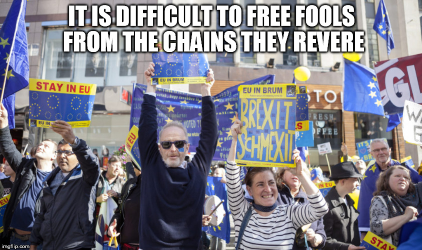 IT IS DIFFICULT TO FREE FOOLS FROM THE CHAINS THEY REVERE | image tagged in brexit,voltaire | made w/ Imgflip meme maker