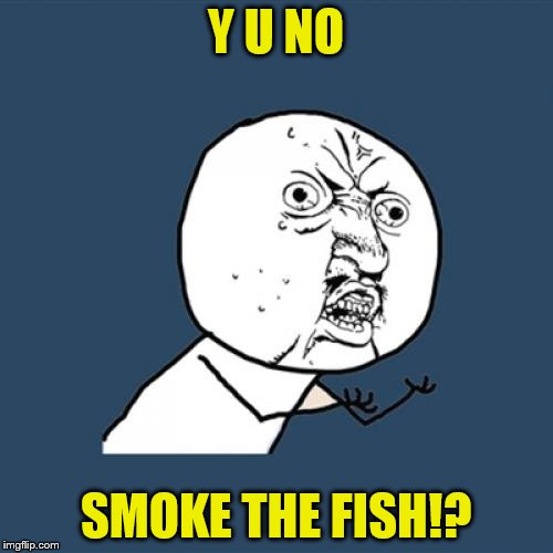 Y U No Meme | Y U NO SMOKE THE FISH!? | image tagged in memes,y u no | made w/ Imgflip meme maker
