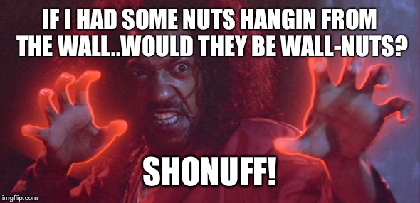 Nuts on the wall | IF I HAD SOME NUTS HANGIN FROM THE WALL..WOULD THEY BE WALL-NUTS? SHONUFF! | image tagged in shonuff | made w/ Imgflip meme maker