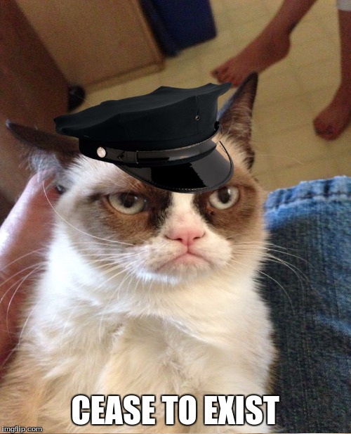 grumpy cop | CEASE TO EXIST | image tagged in memes,grumpy cat,funny,meme,police,cop | made w/ Imgflip meme maker