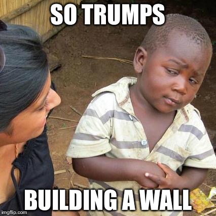 Third World Skeptical Kid Meme | SO TRUMPS; BUILDING A WALL | image tagged in memes,third world skeptical kid | made w/ Imgflip meme maker
