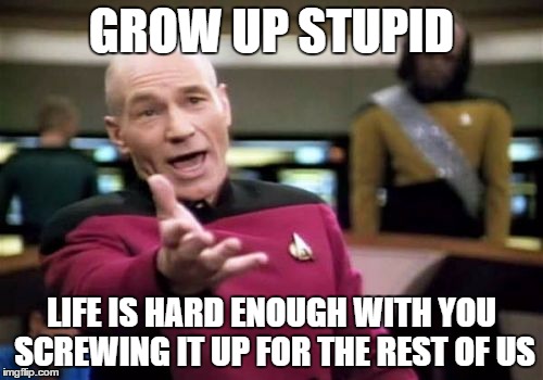 Picard Wtf Meme | GROW UP STUPID; LIFE IS HARD ENOUGH WITH YOU SCREWING IT UP FOR THE REST OF US | image tagged in memes,picard wtf | made w/ Imgflip meme maker