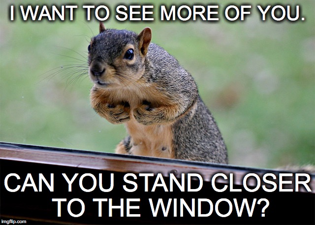 It's okay if you're naked... | I WANT TO SEE MORE OF YOU. CAN YOU STAND CLOSER TO THE WINDOW? | image tagged in janey mack meme,flirty meme,funny,squirrel,i want to see more of you | made w/ Imgflip meme maker