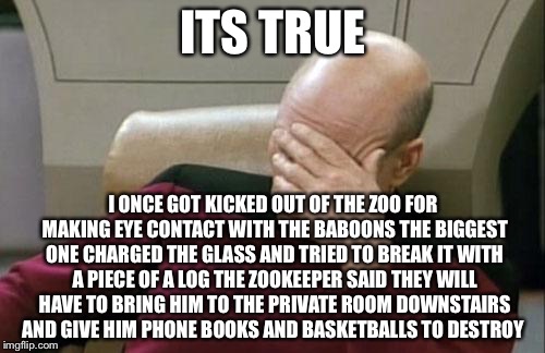 Captain Picard Facepalm Meme | ITS TRUE I ONCE GOT KICKED OUT OF THE ZOO FOR MAKING EYE CONTACT WITH THE BABOONS THE BIGGEST ONE CHARGED THE GLASS AND TRIED TO BREAK IT WI | image tagged in memes,captain picard facepalm | made w/ Imgflip meme maker