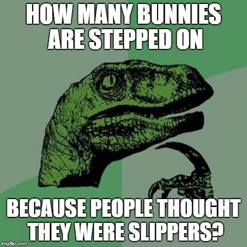 Philosoraptor Meme | HOW MANY BUNNIES ARE STEPPED ON; BECAUSE PEOPLE THOUGHT THEY WERE SLIPPERS? | image tagged in memes,philosoraptor | made w/ Imgflip meme maker
