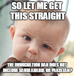 Skeptical Baby Meme | SO LET ME GET THIS STRAIGHT; THE IMMIGRATION BAN DOES NOT INCLUDE SAUDI ARABIA OR PAKISTAN? | image tagged in memes,skeptical baby | made w/ Imgflip meme maker