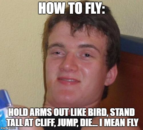 10 Guy Meme | HOW TO FLY:; HOLD ARMS OUT LIKE BIRD, STAND TALL AT CLIFF, JUMP, DIE... I MEAN FLY | image tagged in memes,10 guy | made w/ Imgflip meme maker