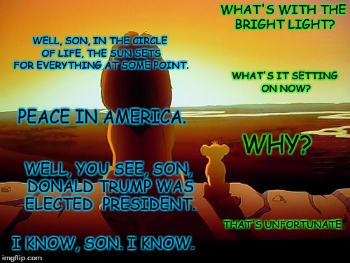 Who else thinks it is unfortunate. |  WHAT'S WITH THE BRIGHT LIGHT? WELL, SON, IN THE CIRCLE OF LIFE, THE SUN SETS FOR EVERYTHING AT SOME POINT. WHAT'S IT SETTING ON NOW? PEACE IN AMERICA. WHY? WELL, YOU SEE, SON, DONALD TRUMP WAS ELECTED  PRESIDENT. THAT'S UNFORTUNATE. I KNOW, SON. I KNOW. | image tagged in memes,lion king,dump trump,approved | made w/ Imgflip meme maker