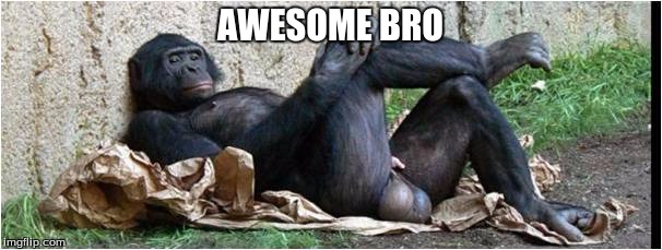 AWESOME BRO | made w/ Imgflip meme maker