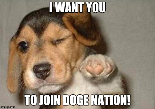 Winking Dog | I WANT YOU; TO JOIN DOGE NATION! | image tagged in winking dog | made w/ Imgflip meme maker