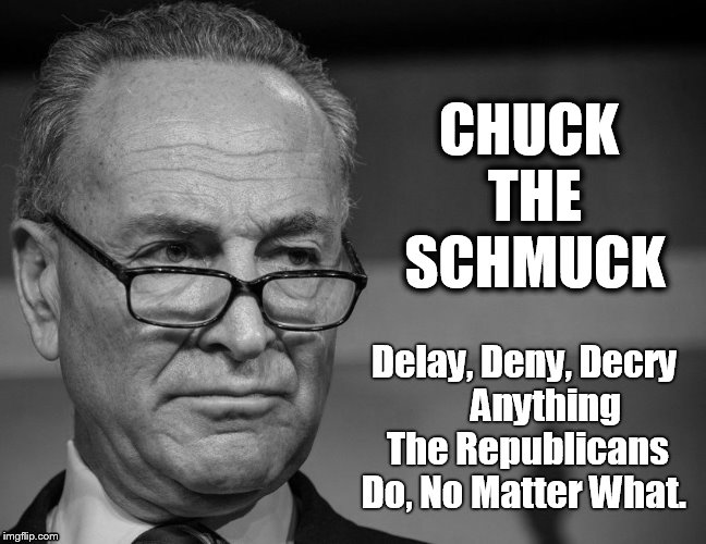 Schumer |  CHUCK THE SCHMUCK; Delay, Deny, Decry      Anything The Republicans Do, No Matter What. | image tagged in schumer | made w/ Imgflip meme maker