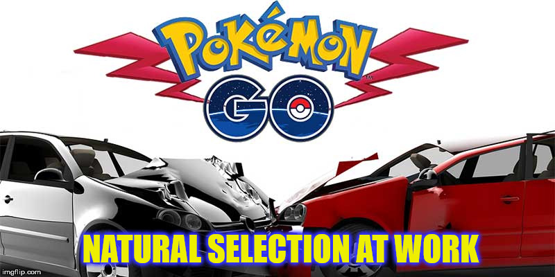 NATURAL SELECTION AT WORK | image tagged in pokemon go,natural selection,winning,darwin | made w/ Imgflip meme maker