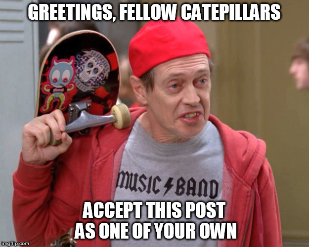Steve Buscemi Fellow Kids |  GREETINGS, FELLOW CATEPILLARS; ACCEPT THIS POST AS ONE OF YOUR OWN | image tagged in steve buscemi fellow kids | made w/ Imgflip meme maker
