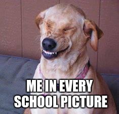 funny dog | ME IN EVERY SCHOOL PICTURE | image tagged in funny dog | made w/ Imgflip meme maker