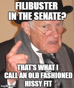 back in my day we'd take you out to the wood shed | FILIBUSTER IN THE SENATE? THAT'S WHAT I CALL AN OLD FASHIONED HISSY FIT | image tagged in memes,back in my day | made w/ Imgflip meme maker