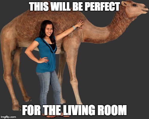 THIS WILL BE PERFECT; FOR THE LIVING ROOM | made w/ Imgflip meme maker