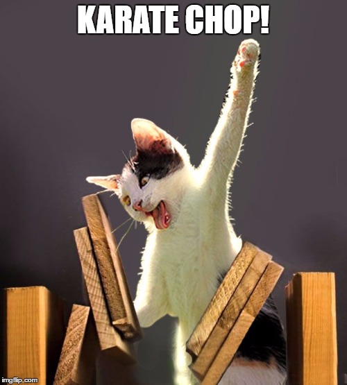KARATE CHOP! | made w/ Imgflip meme maker