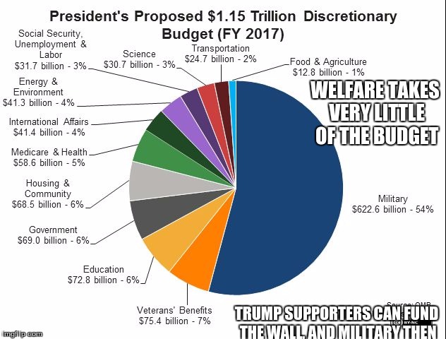 WELFARE TAKES VERY LITTLE OF THE BUDGET TRUMP SUPPORTERS CAN FUND THE WALL, AND MILITARY THEN | image tagged in federal proposed budget 2017 | made w/ Imgflip meme maker