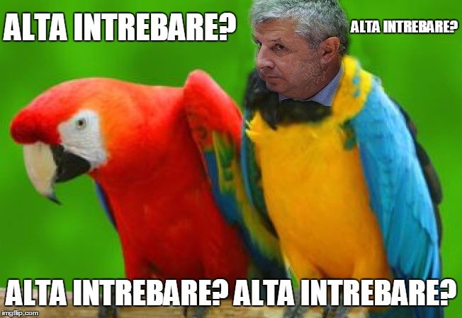 ALTA INTREBARE? ALTA INTREBARE? ALTA INTREBARE? ALTA INTREBARE? | image tagged in funny | made w/ Imgflip meme maker